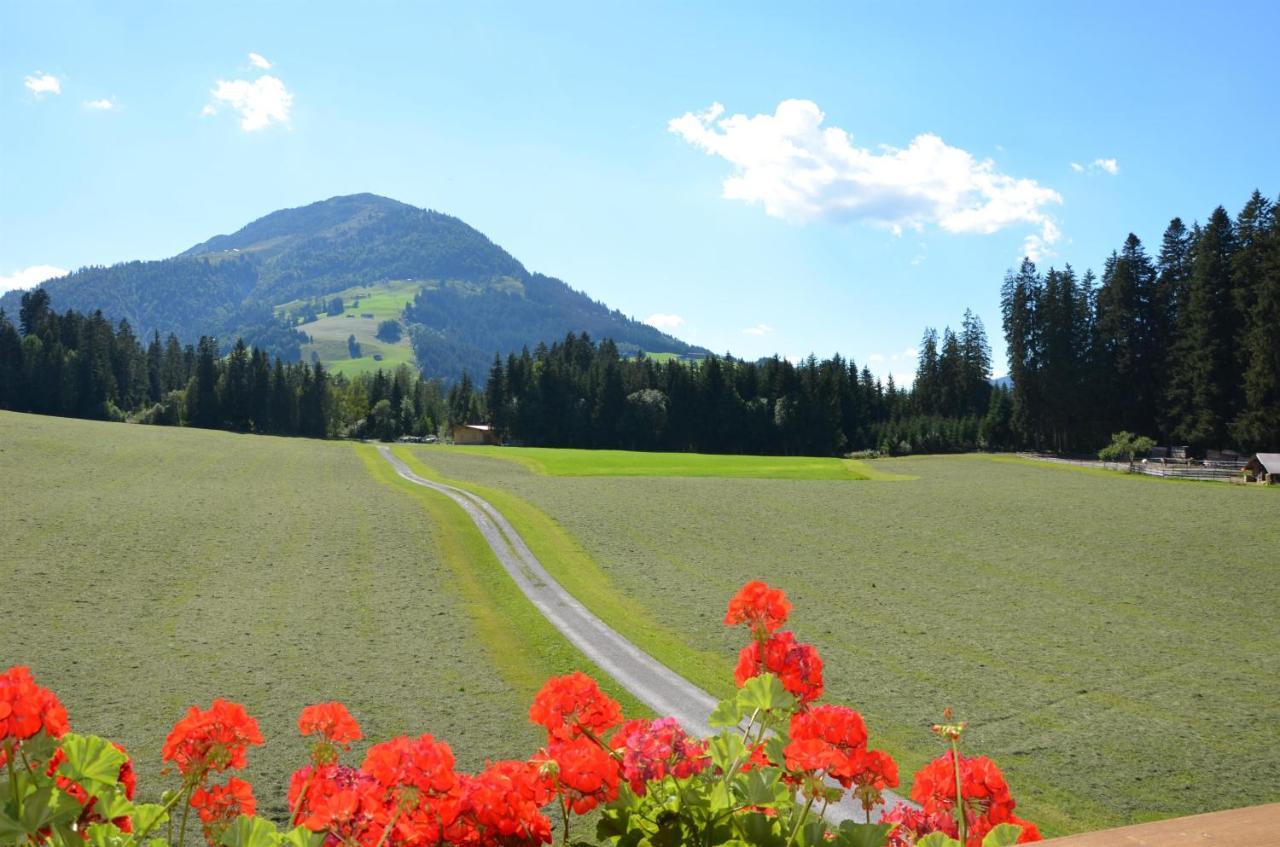 Pension Woetzinghof Kirchberg in Tirol Exteriör bild