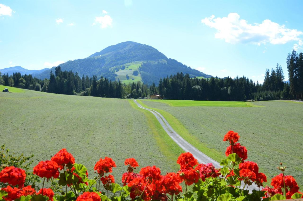 Pension Woetzinghof Kirchberg in Tirol Exteriör bild