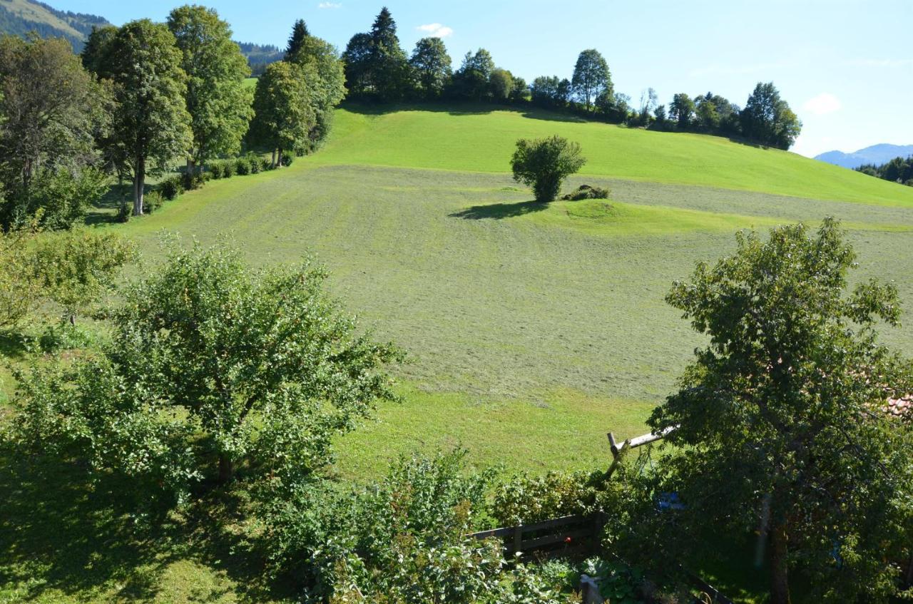 Pension Woetzinghof Kirchberg in Tirol Exteriör bild