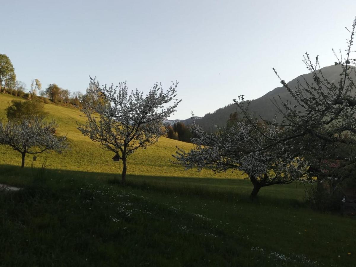 Pension Woetzinghof Kirchberg in Tirol Exteriör bild