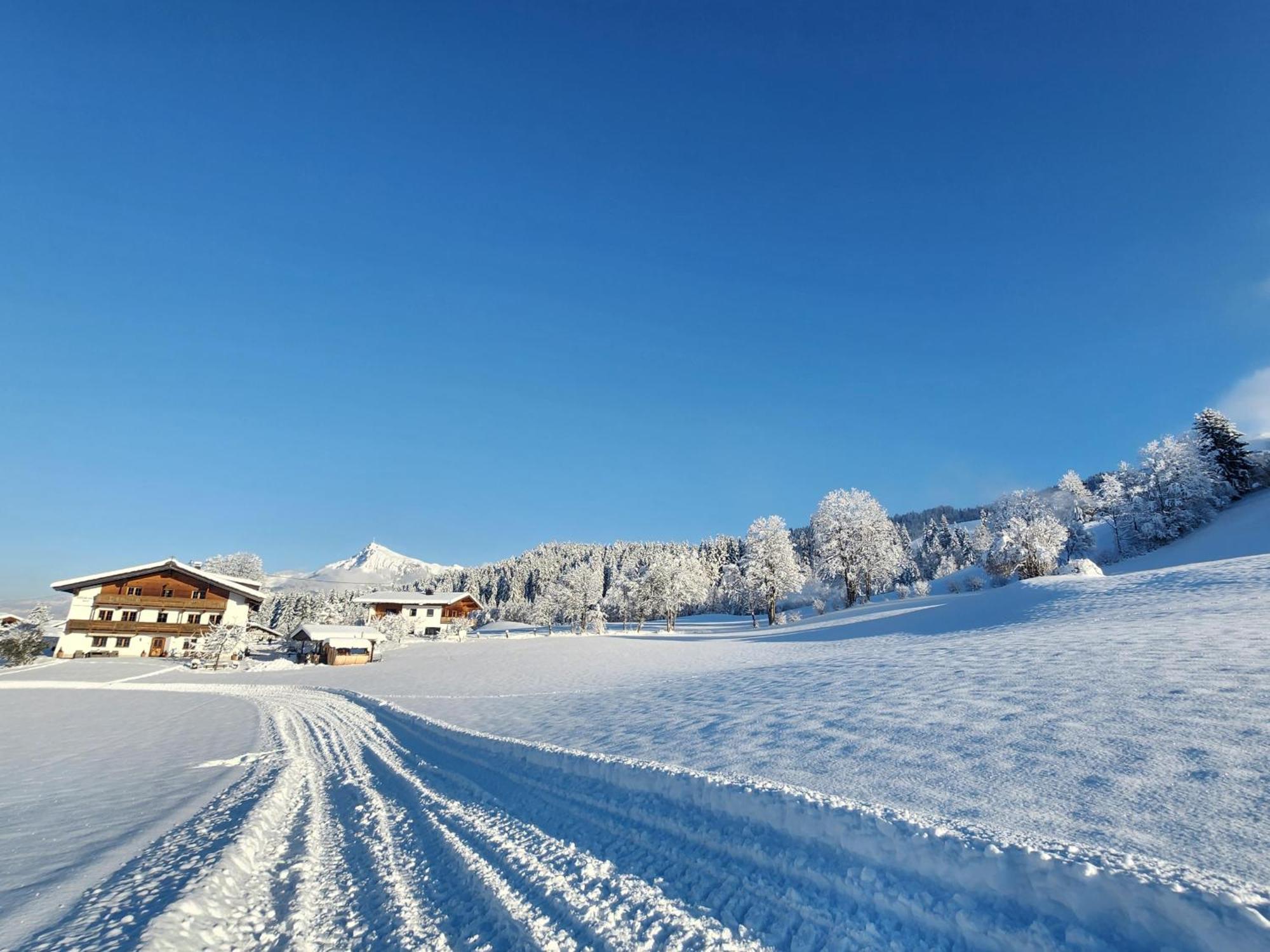 Pension Woetzinghof Kirchberg in Tirol Exteriör bild