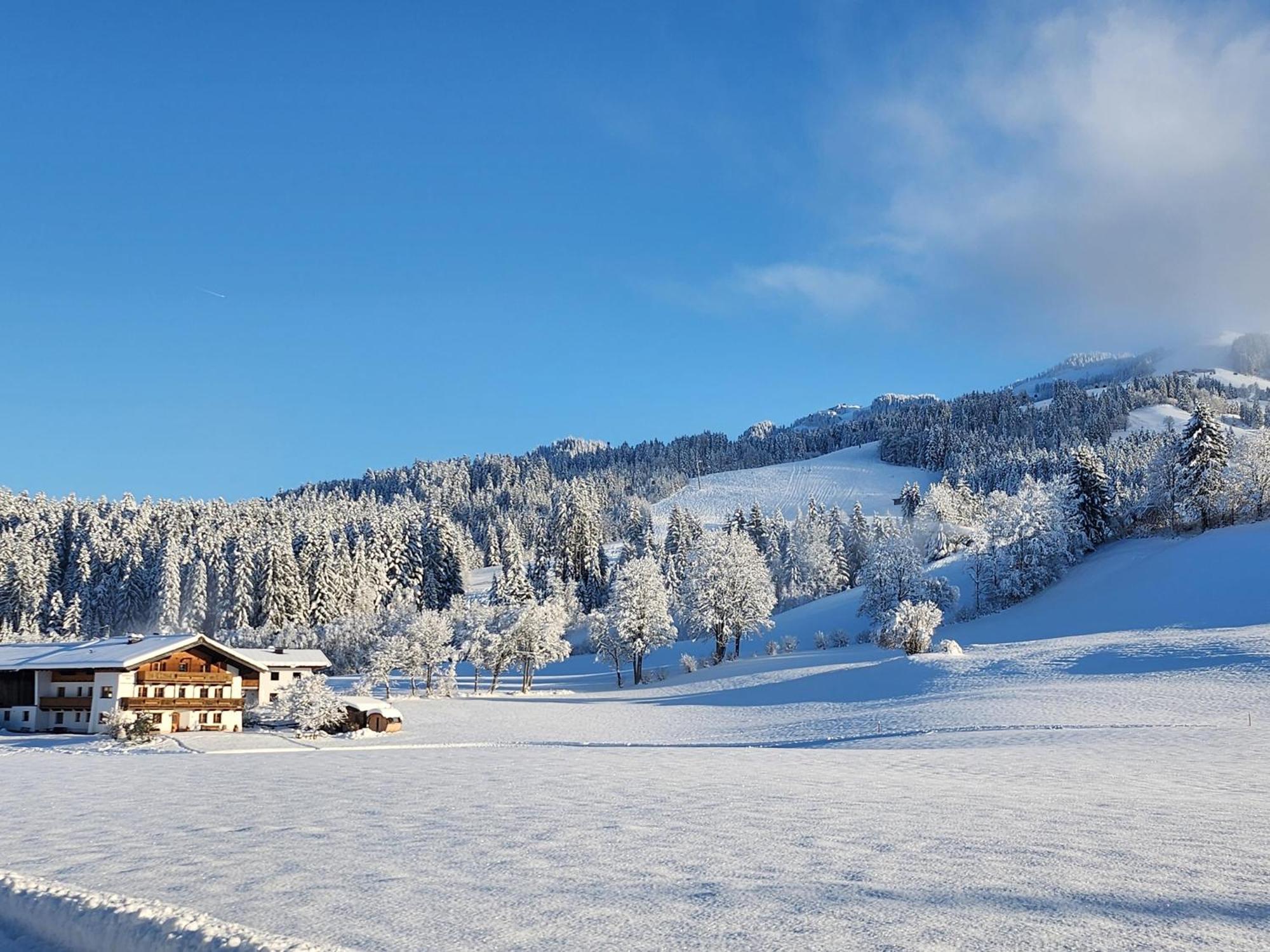 Pension Woetzinghof Kirchberg in Tirol Exteriör bild