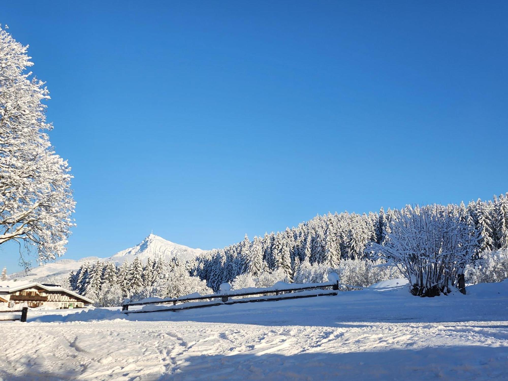 Pension Woetzinghof Kirchberg in Tirol Exteriör bild