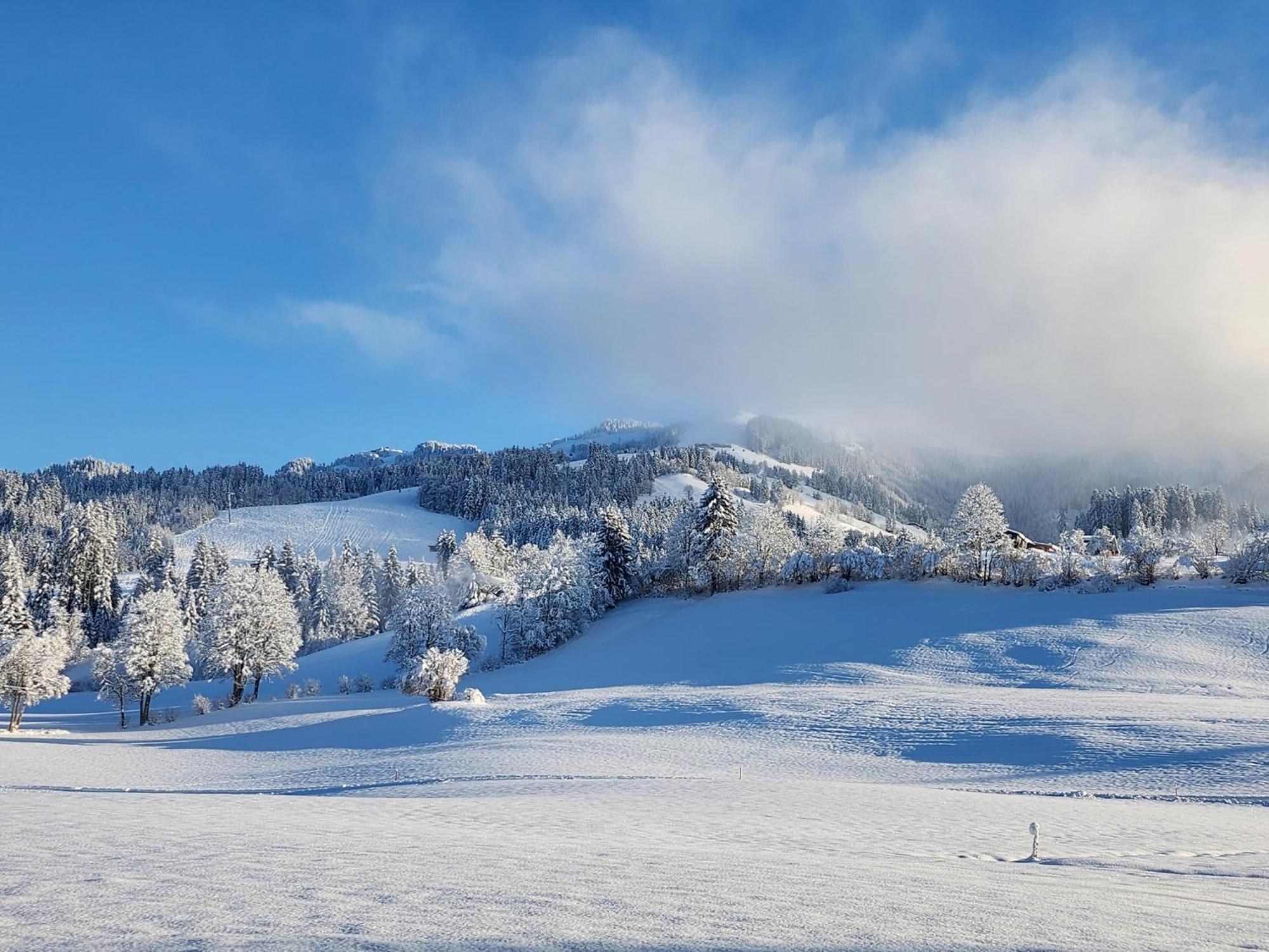 Pension Woetzinghof Kirchberg in Tirol Exteriör bild