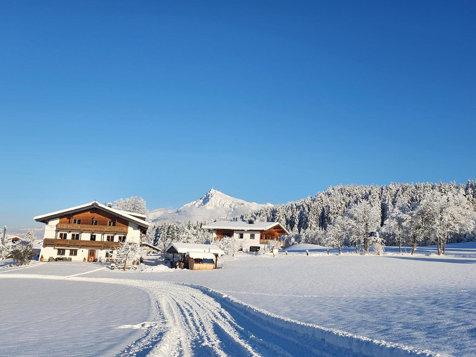 Pension Woetzinghof Kirchberg in Tirol Exteriör bild