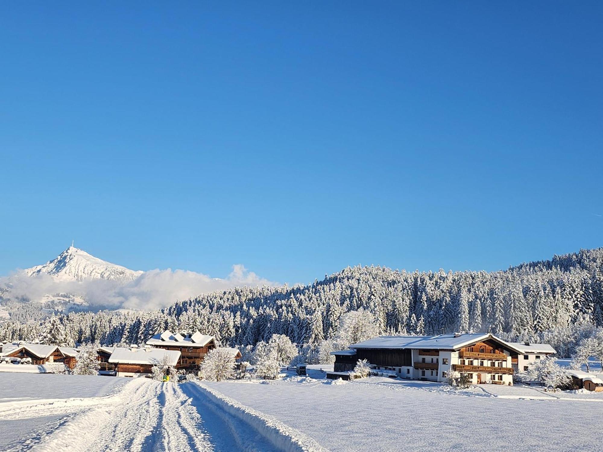 Pension Woetzinghof Kirchberg in Tirol Exteriör bild