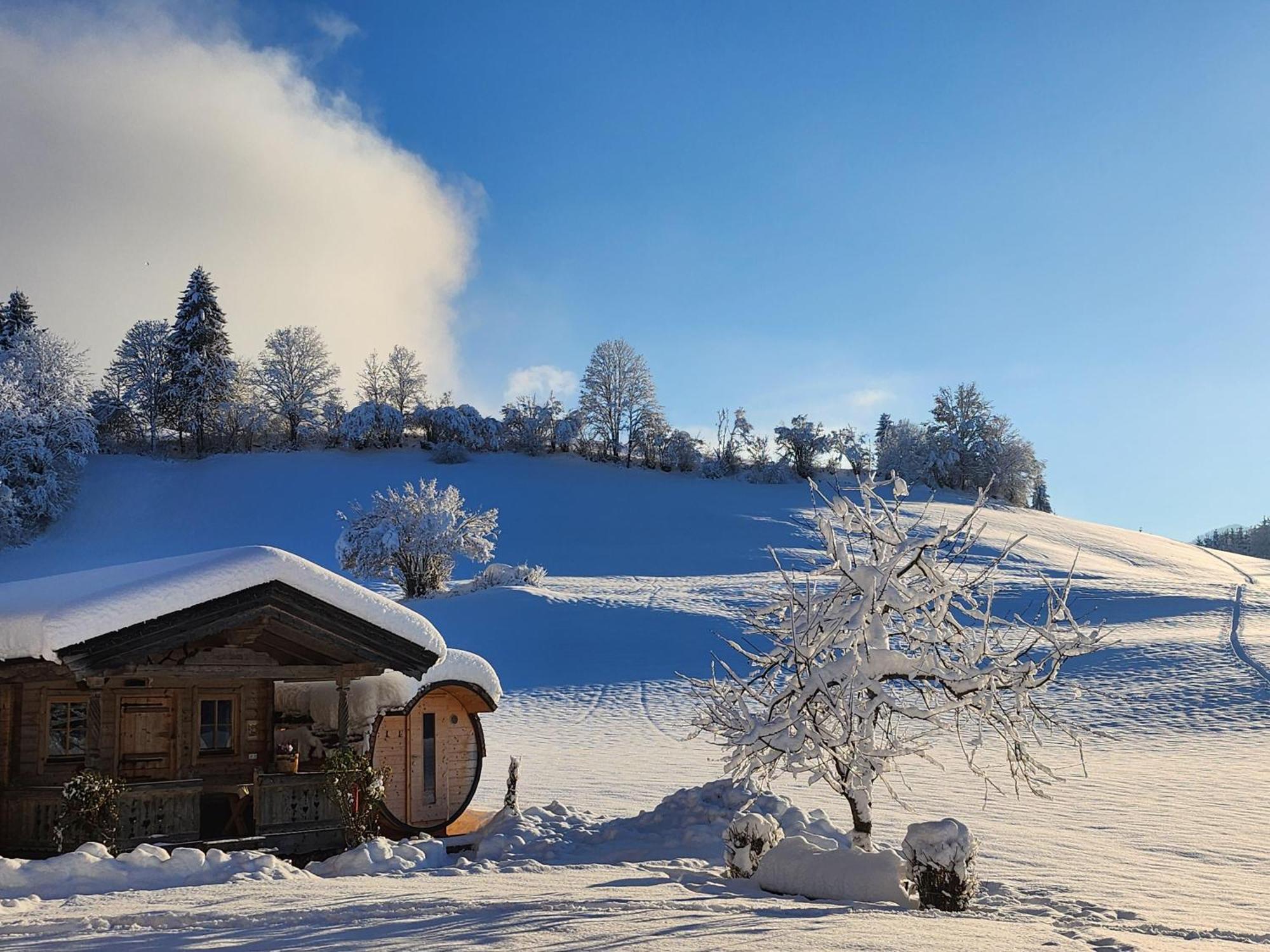 Pension Woetzinghof Kirchberg in Tirol Exteriör bild