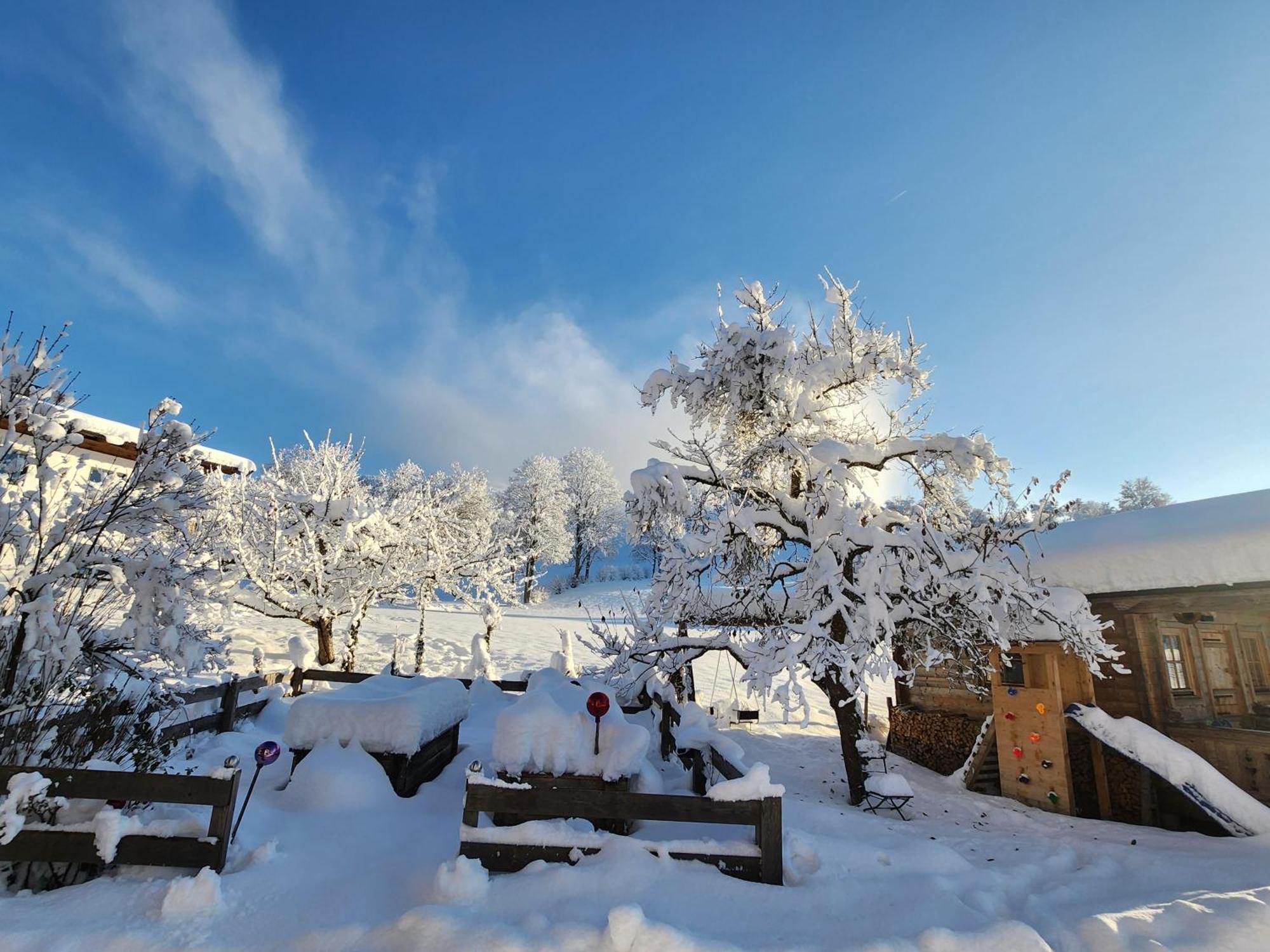Pension Woetzinghof Kirchberg in Tirol Exteriör bild