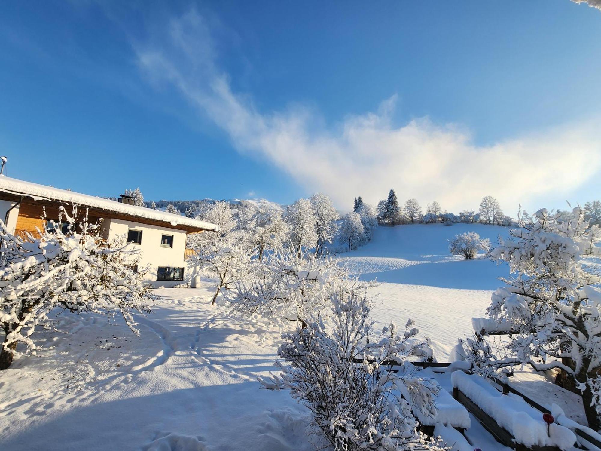 Pension Woetzinghof Kirchberg in Tirol Exteriör bild