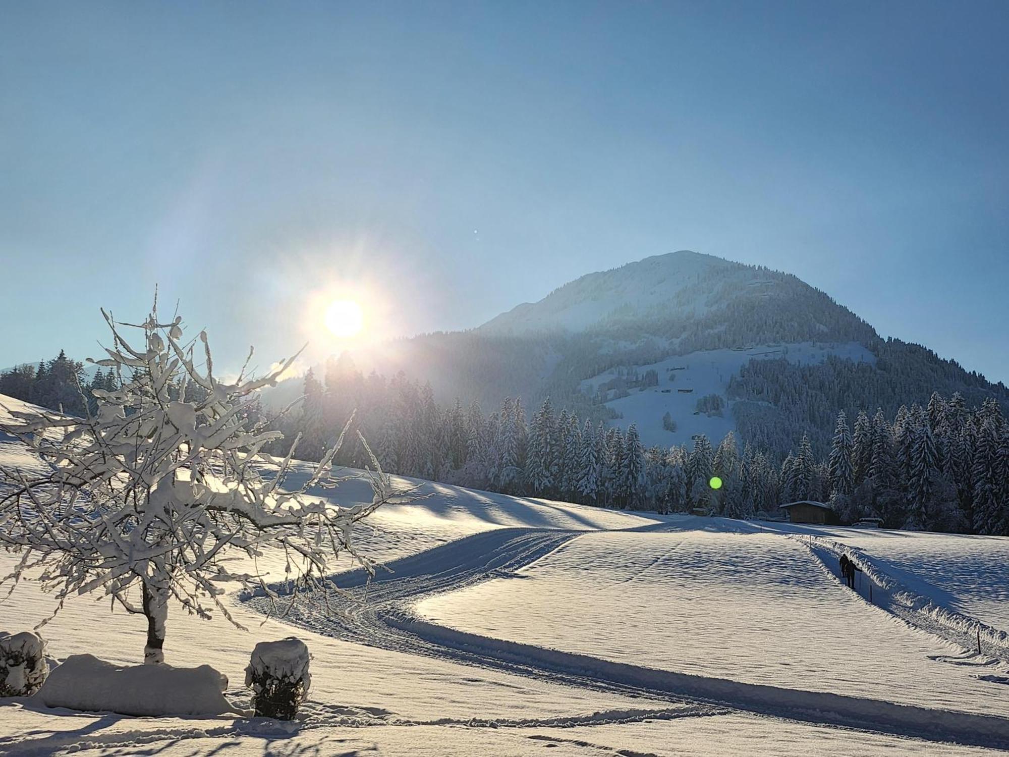 Pension Woetzinghof Kirchberg in Tirol Exteriör bild