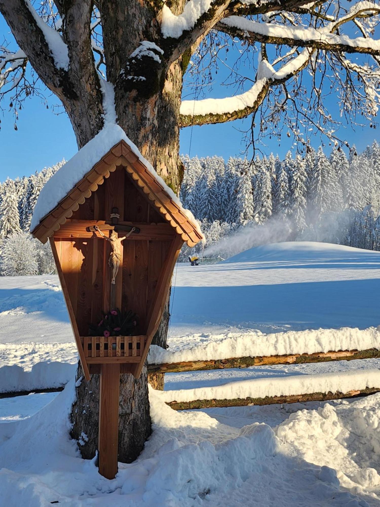 Pension Woetzinghof Kirchberg in Tirol Exteriör bild